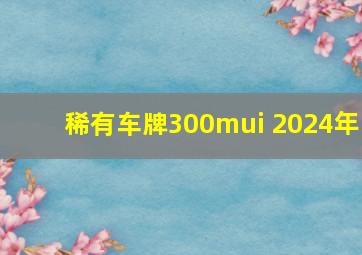 稀有车牌300mui 2024年